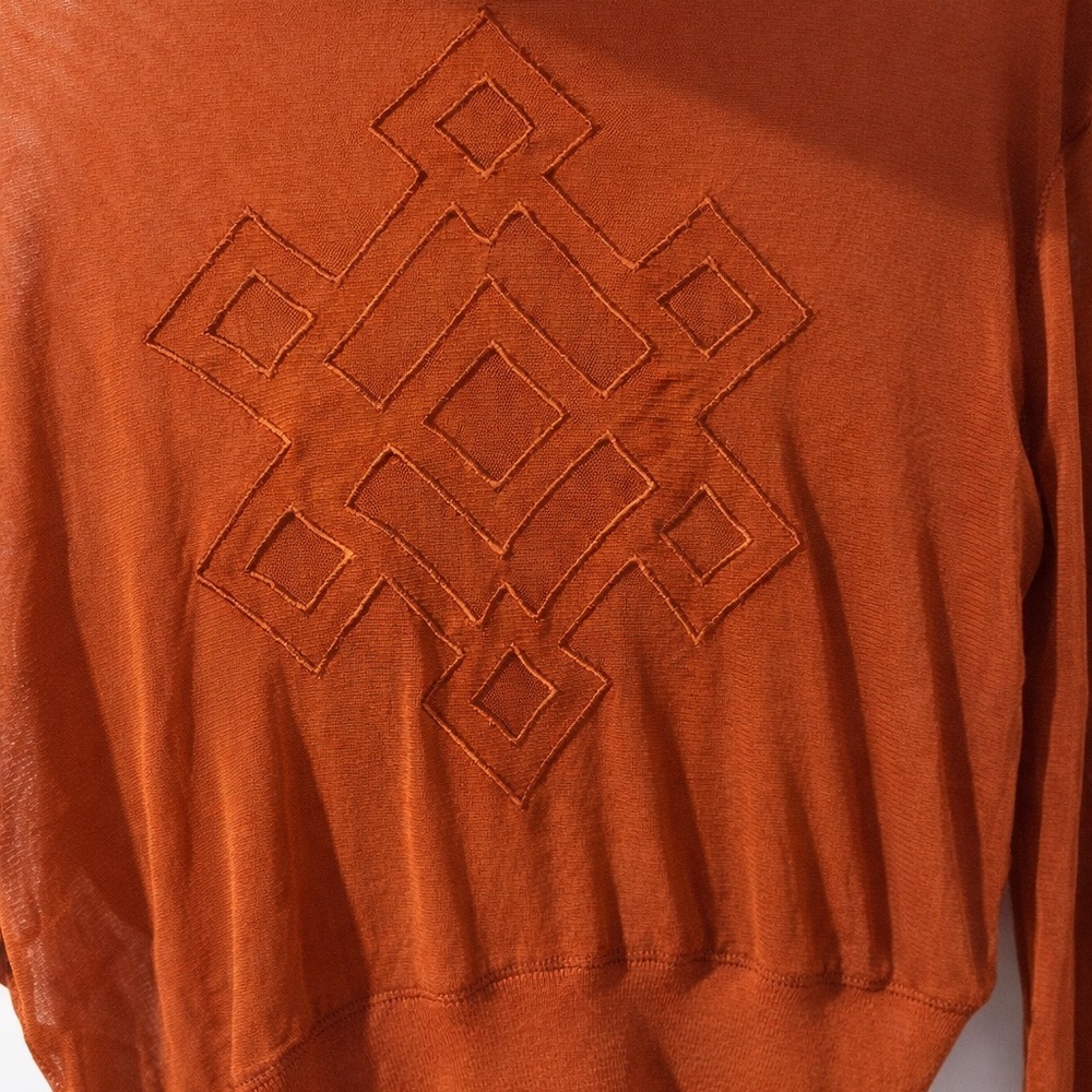 Zara sheer mesh cropped sweater in a rich rust/burnt orange tone Size M NWOT - Picture 3 of 4